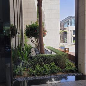 Softt Scape & Irrigation 