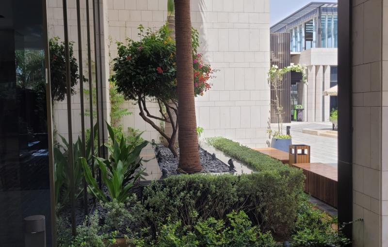 Softt Scape & Irrigation 