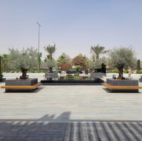 Site Development Design 