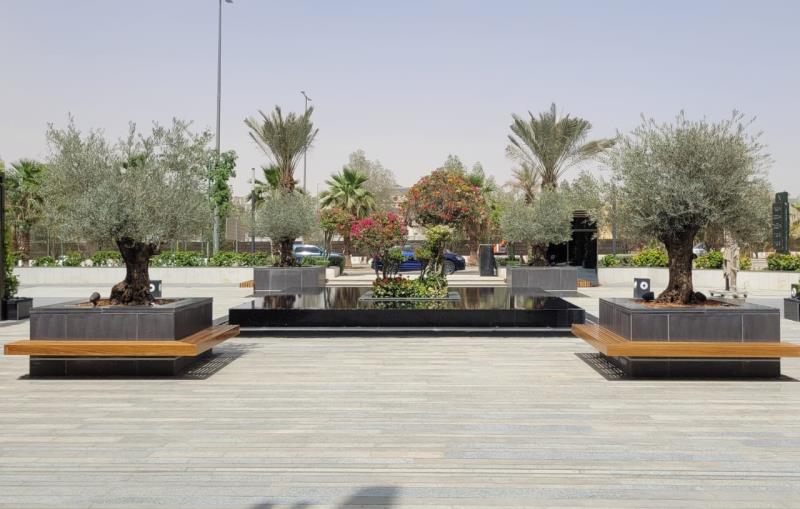 Site Development Design 