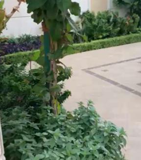 Video 8