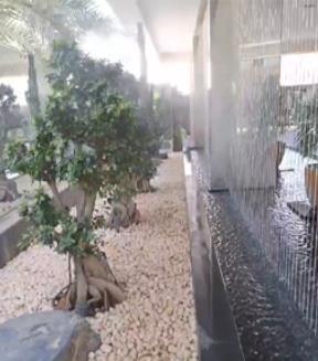 Video 1