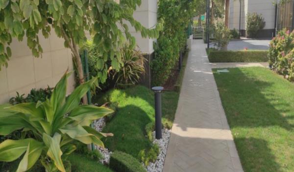 Walkway 20196