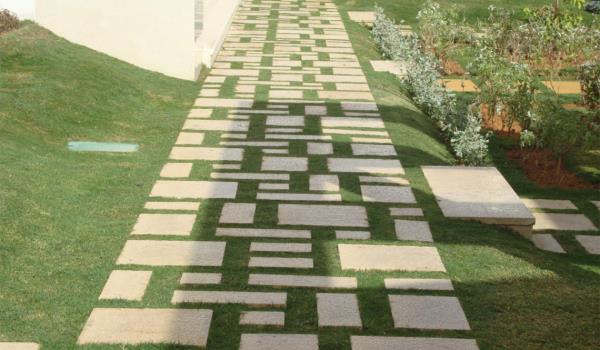 Landscape Project’s 20217
