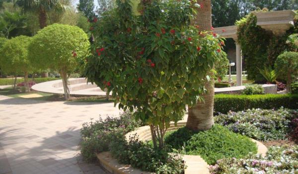 Agricultural Works 20295